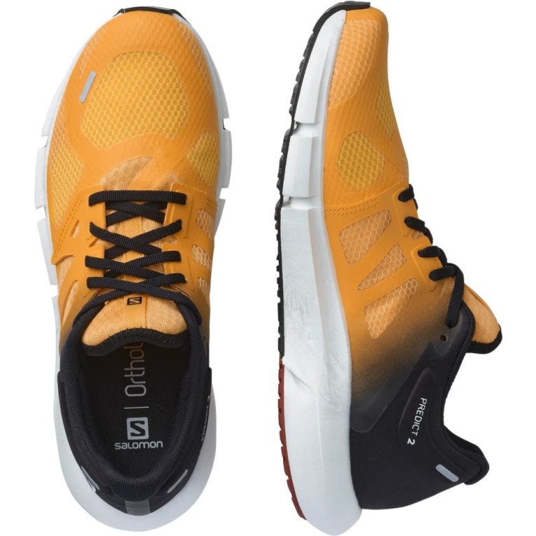 Mango / Black Salomon Predict 2 Men's Running Shoes | PH 17268M